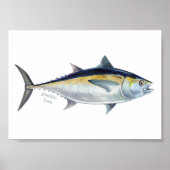 Blackfin Thunfisch-Poster. Poster (Vorne)