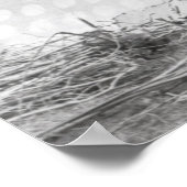 Blackfoot Brave, in der Nähe von Calgary, Alberta, Poster (Ecke)