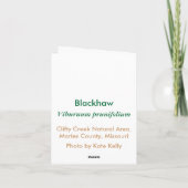 Blackhaw Notecard Karte (Rückseite)