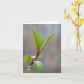Blackhaw Notecard Karte (Gelbe Blume)