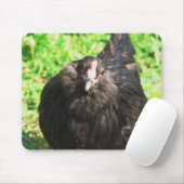 Blackie Mousepad (Mit Mouse)