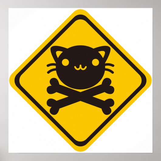 BlackJack(Cat) Poster (Vorne)