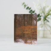 Blacklick Park Postkarte (Stehend Vorderseite)