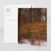 Blacklick Park Postkarte (Vorne/Hinten)