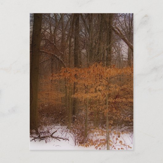Blacklick Park Postkarte (Vorderseite)