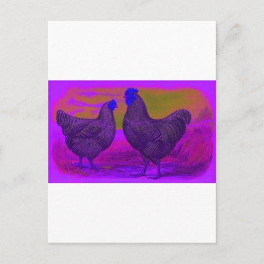 BlackLight Postkarte (Vorderseite)