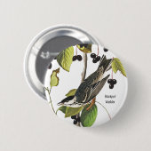 Blackpoll Warbler, Audubon, Vogelbeobachter Style Button (Vorne & Hinten)
