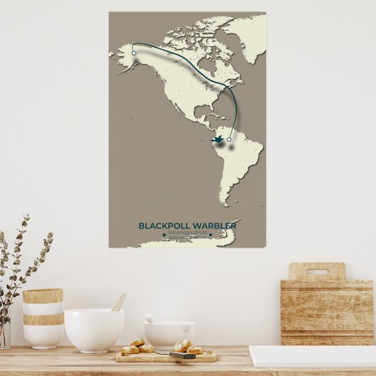 Blackpoll Warbler Migration Map - Minimalistisch Poster (Küche)