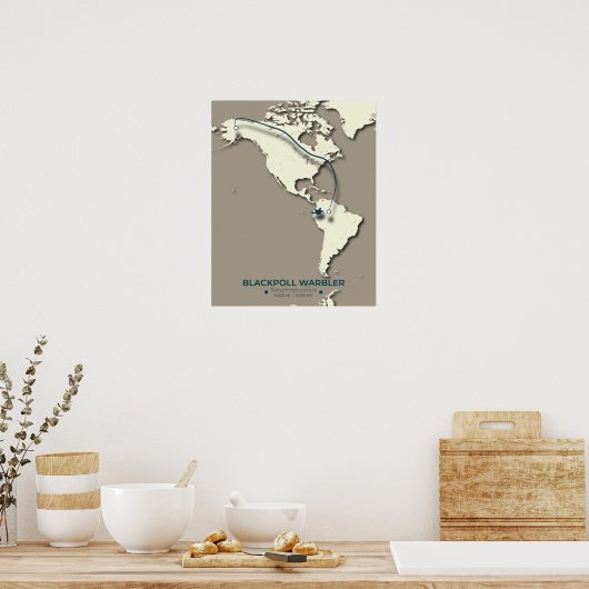 Blackpoll Warbler Migration Map - Minimalistisch Poster (Küche)