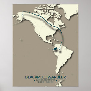 Blackpoll Warbler Migration Map - Minimalistisch Poster