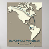 Blackpoll Warbler Migration Map - Minimalistisch Poster (Vorne)