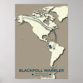 Blackpoll Warbler Migration Map - Minimalistisch Poster (Vorne)