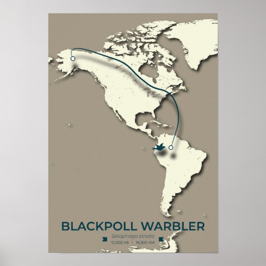 Blackpoll Warbler Migration Map - Minimalistisch Poster (Vorne)