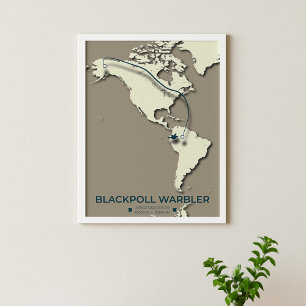 Blackpoll Warbler Migration Map - Minimalistisch Poster