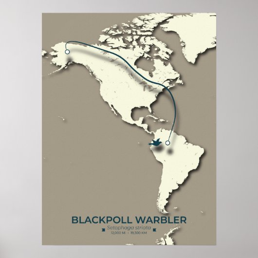 Blackpoll Warbler Migration Map - Minimalistisch Poster (Vorne)