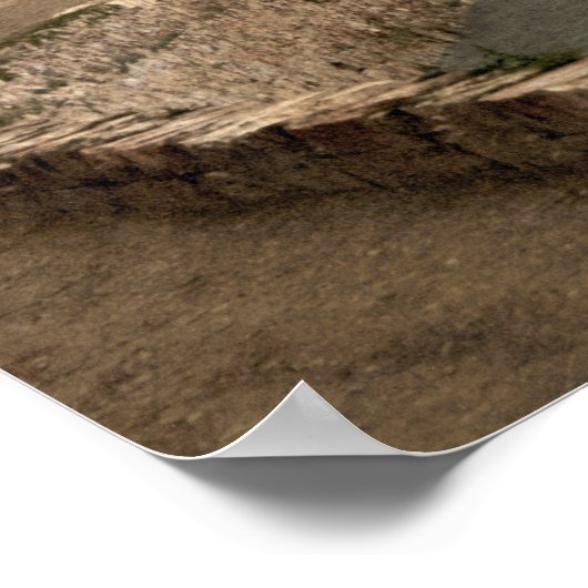 Blackrock Castle Cork Irland Poster (Ecke)