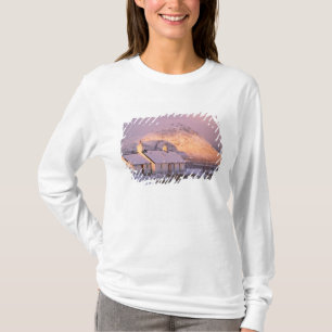 Blackrock Cottage, Glencoe, Highlands, Schottland T-Shirt