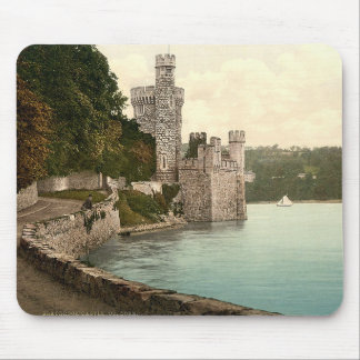 Blackrock Schloss-Landkreis-Korken Mousepad
