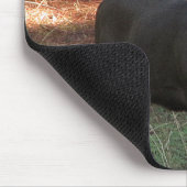 Blacktail Buck Mousepad (Ecke)