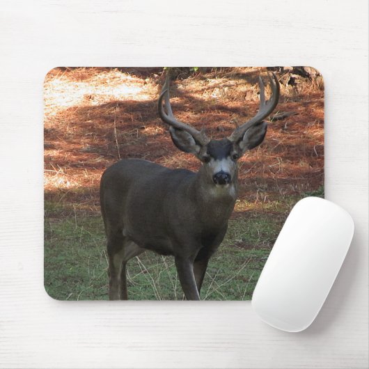 Blacktail Buck Mousepad (Mit Mouse)