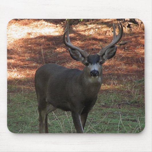 Blacktail Buck Mousepad (Vorne)