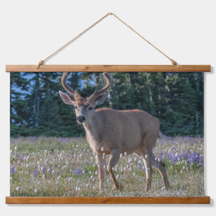 Blacktail Deer Buck Olympischer Nationalpark Wandteppich Mit Holzrahmen