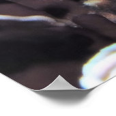 Blacktip-Gruppe Poster (Ecke)