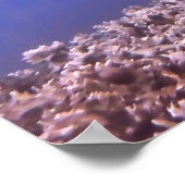 Blacktip Riffhai am Riff Poster (Ecke)