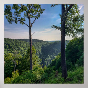 Blackwater Canyon, Blackwater Falls Staat Park, WV Poster