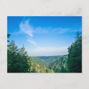 Blackwater Canyon, West Virginia Postkarte