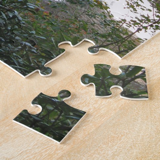 Blackwater-Fälle, West Virginia Puzzle (Seite)