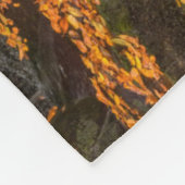 Blackwater Falls Staat Park Fleecedecke (Ecke)