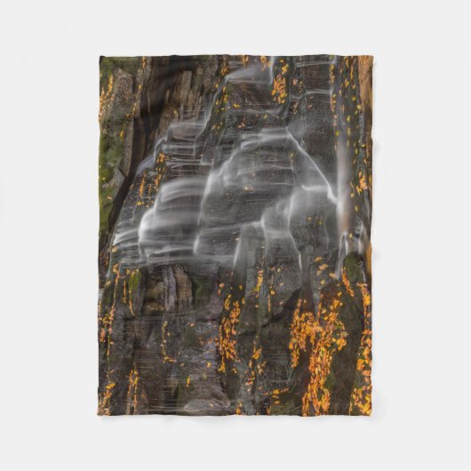 Blackwater Falls Staat Park Fleecedecke (Vorderseite)