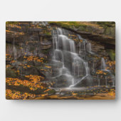 Blackwater Falls Staat Park Fotoplatte (Vorderseite)