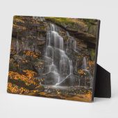 Blackwater Falls Staat Park Fotoplatte (Seite)