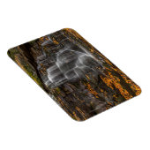 Blackwater Falls Staat Park Magnet (Rechte Seite)
