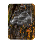 Blackwater Falls Staat Park Magnet (Vertikal)