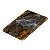 Blackwater Falls Staat Park Magnet (Linke Seite)
