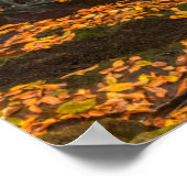 Blackwater Falls Staat Park Poster (Ecke)