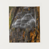 Blackwater Falls Staat Park Wandteppich (Vorderseite)