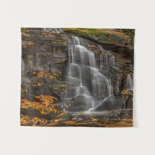 Blackwater Falls Staat Park Wandteppich (Vorderseite (Horizontal))