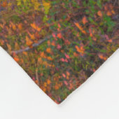 Blackwater Falls Staat Park | West Virginia Fleecedecke (Ecke)