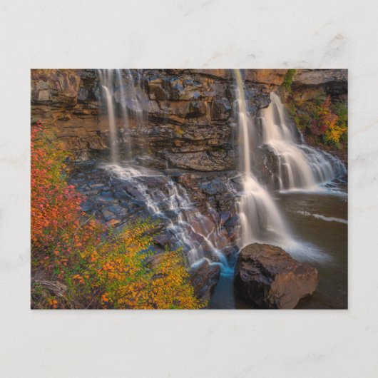 Blackwater Falls Staat Park | West Virginia Postkarte (Vorderseite)