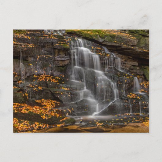 Blackwater Falls State Park Postkarte (Vorderseite)