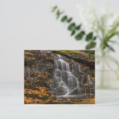 Blackwater Falls State Park Postkarte (Stehend Vorderseite)