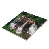 Blackwater Falls, West Virginia, landschaftlich, Fliese (Seite)