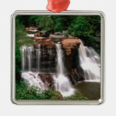 Blackwater Falls, West Virginia, landschaftlich, Ornament Aus Metall (Vorne)