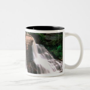 Blackwater Falls, West Virginia, landschaftlich sc Zweifarbige Tasse