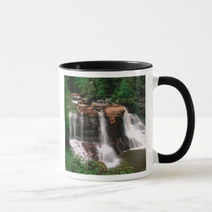 Blackwater Falls, West Virginia, landschaftlich, Tasse