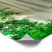 Blackwater Falls, West Virginia Poster (Ecke)